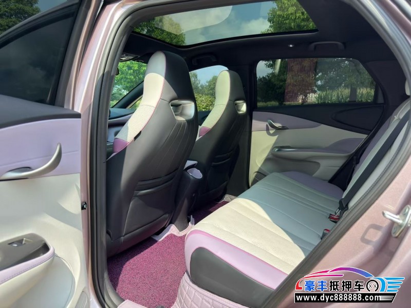 24年比亚迪海豚轿车抵押车出售