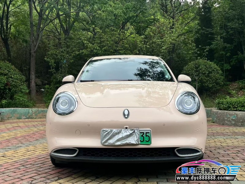 24年欧拉好猫轿车抵押车出售