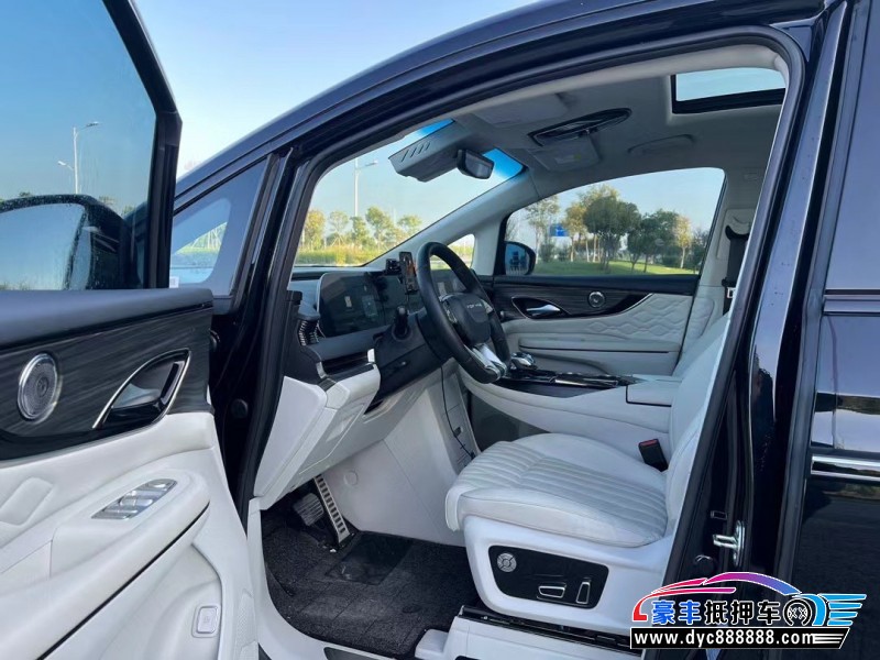 24年东风风行星海V9轿车抵押车出售