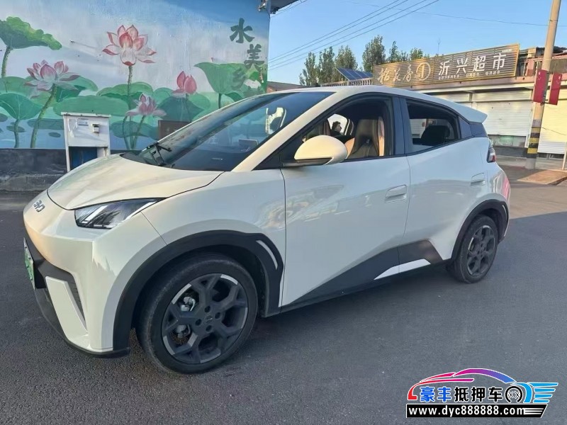 24年比亚迪海鸥SUV抵押车出售