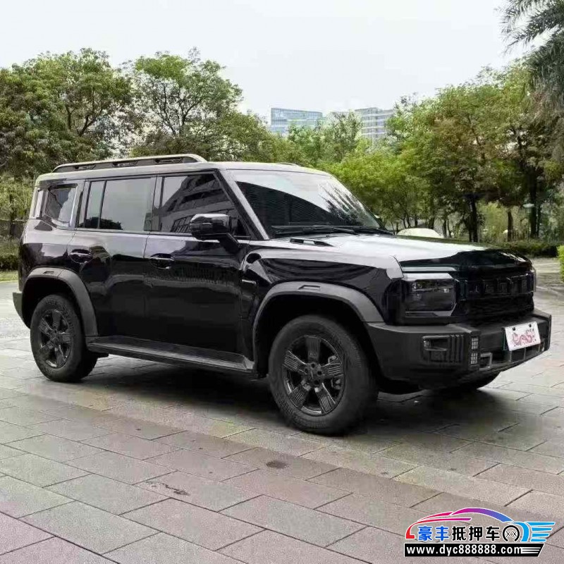 24年捷途旅行者轿车抵押车出售