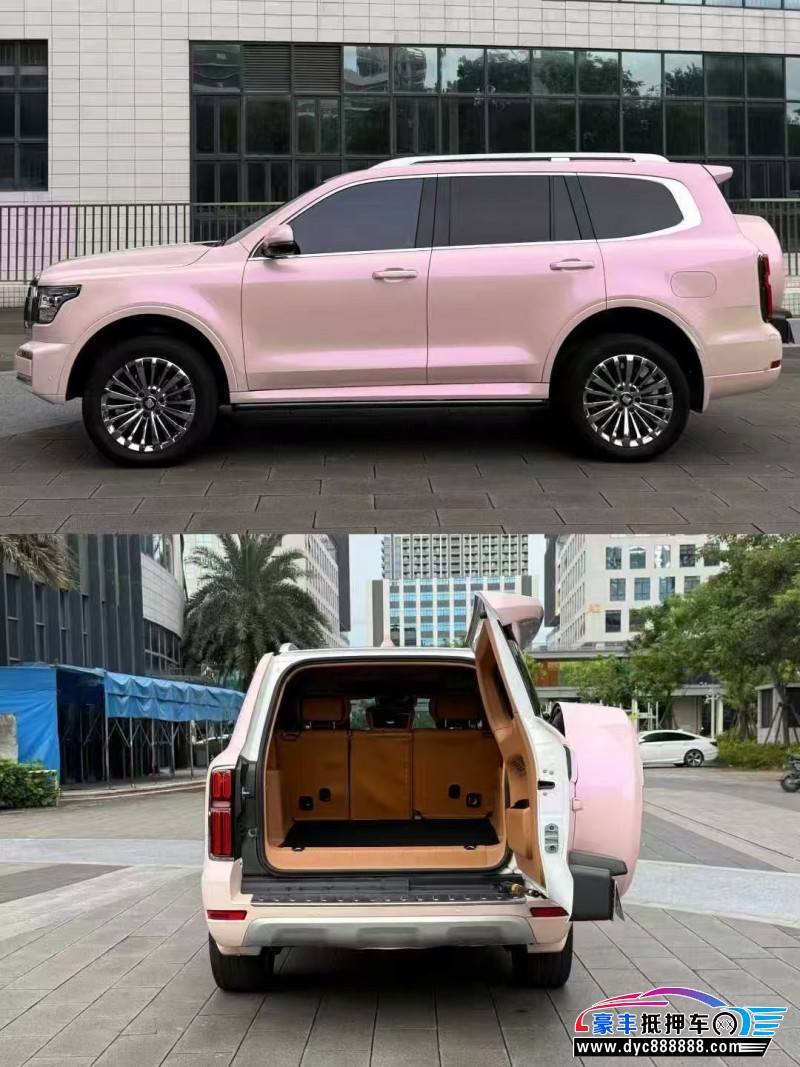 23年WEY坦克500轿车抵押车出售