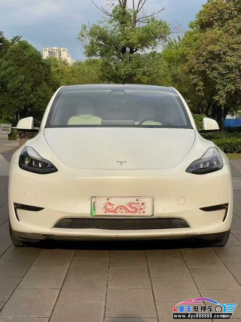23年特斯拉Model Y轿车抵押车出售