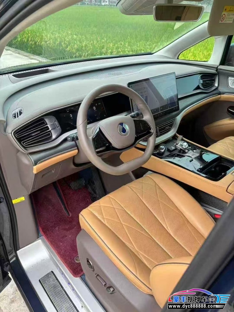 23年腾势D9轿车抵押车出售