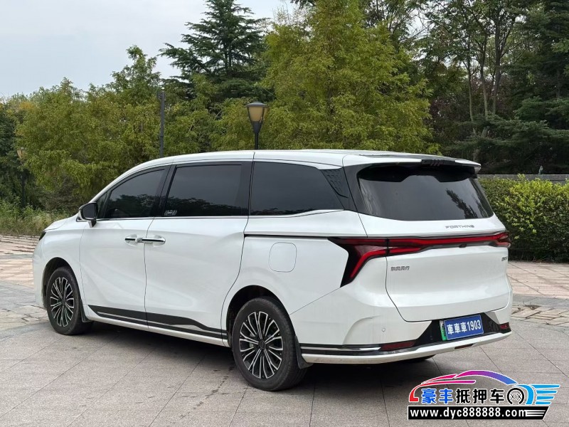 24年东风风行星海V9轿车抵押车出售