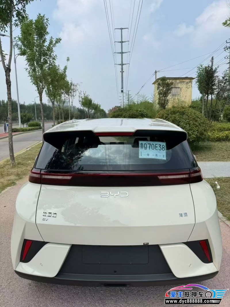 25年比亚迪海鸥轿车抵押车出售