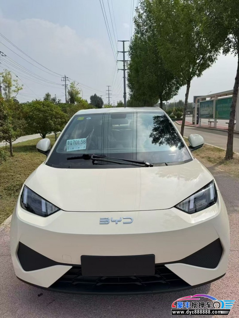 25年比亚迪海鸥轿车抵押车出售