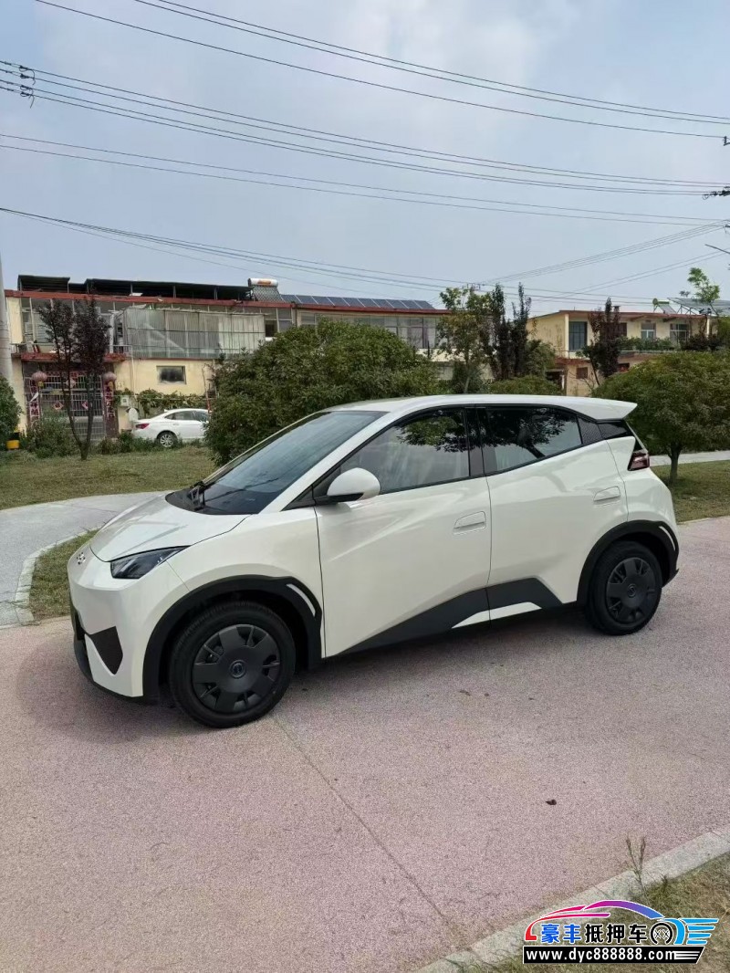 25年比亚迪海鸥轿车抵押车出售