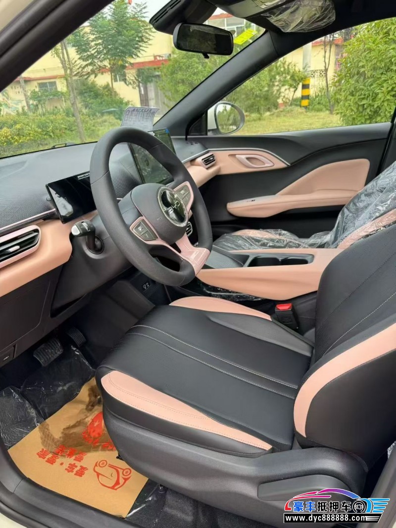 25年比亚迪海鸥轿车抵押车出售