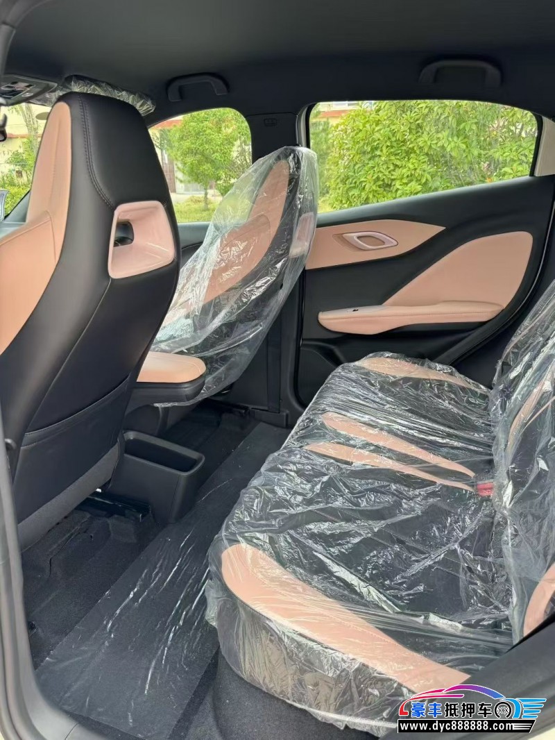 25年比亚迪海鸥轿车抵押车出售