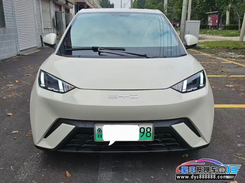 24年比亚迪海鸥轿车抵押车出售