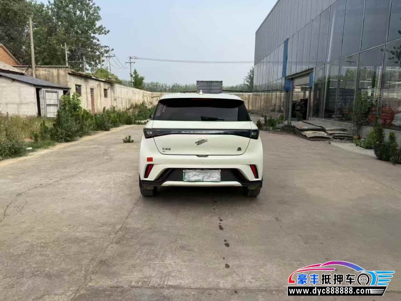 23年比亚迪海豚轿车抵押车出售