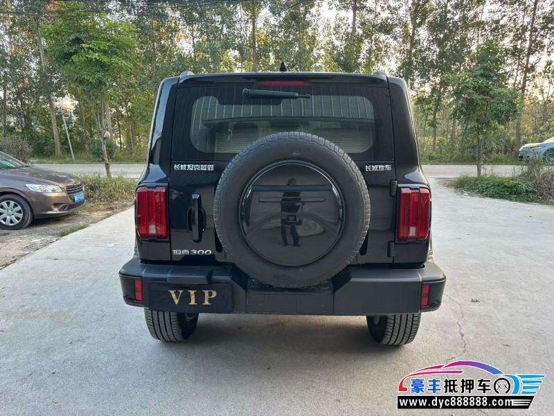 24年WEY坦克300轿车抵押车出售