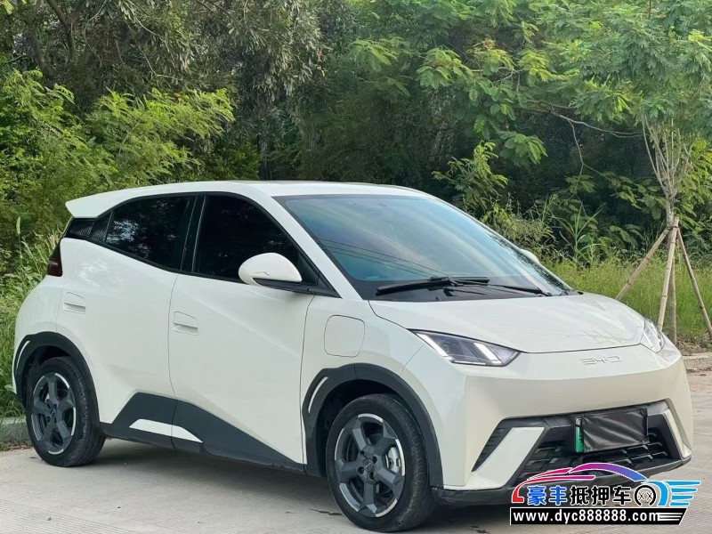 23年比亚迪海鸥轿车抵押车出售