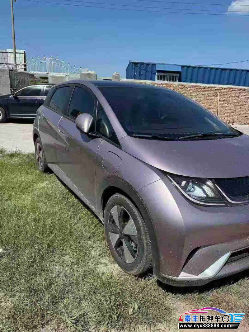 23年比亚迪海豚SUV抵押车出售