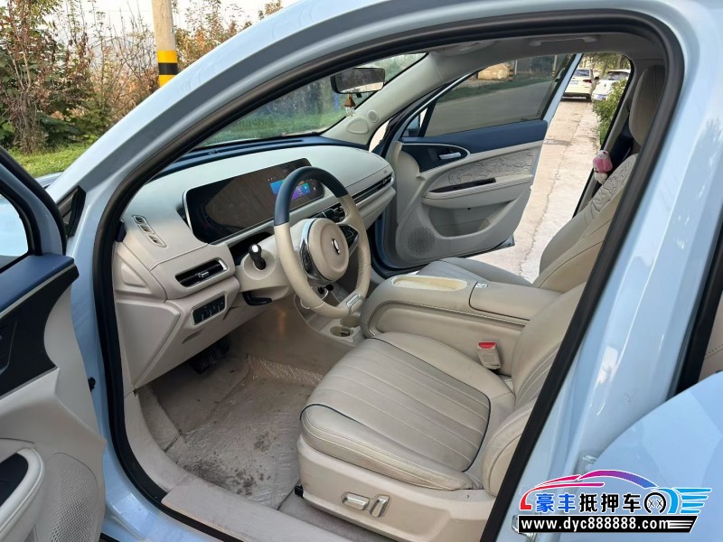 24年欧拉好猫轿车抵押车出售