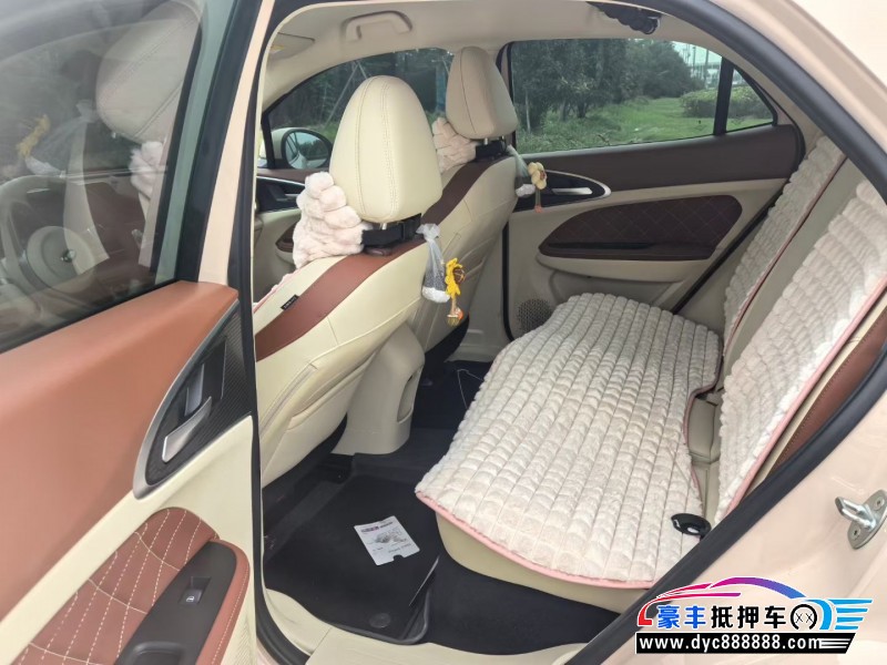 24年欧拉好猫轿车抵押车出售