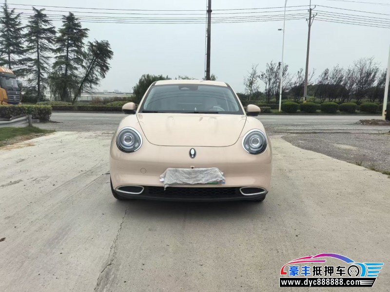 24年欧拉好猫轿车抵押车出售