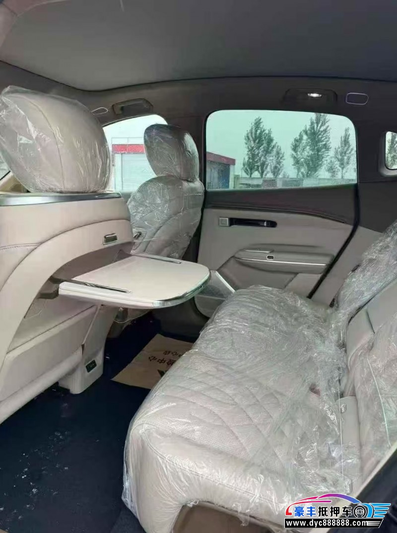 25年埃安昊铂轿车抵押车出售