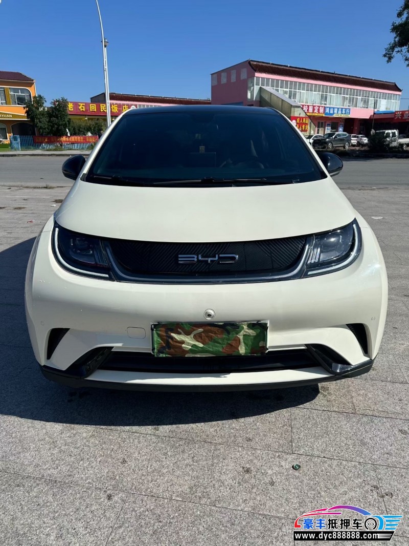 23年比亚迪海豚轿车抵押车出售