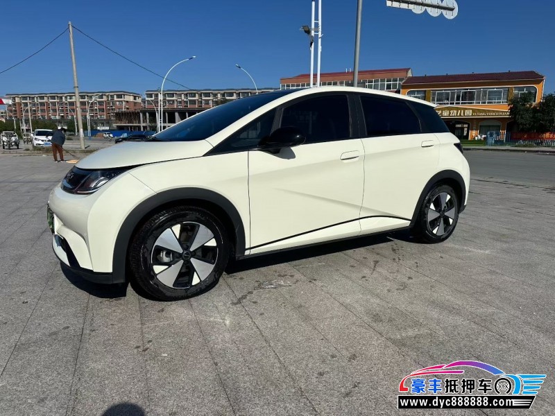 23年比亚迪海豚轿车抵押车出售