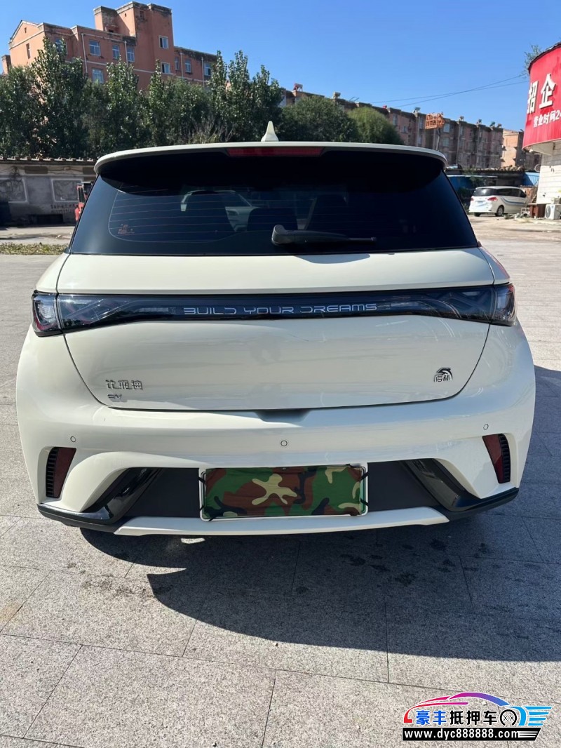 23年比亚迪海豚轿车抵押车出售