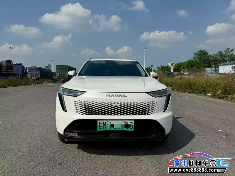 24年长城哈佛枭龙轿车抵押车出售