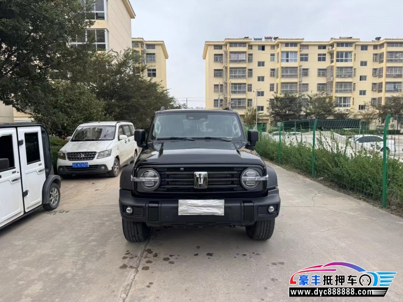 24年WEY坦克300轿车抵押车出售