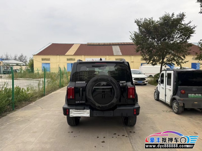 24年WEY坦克300轿车抵押车出售