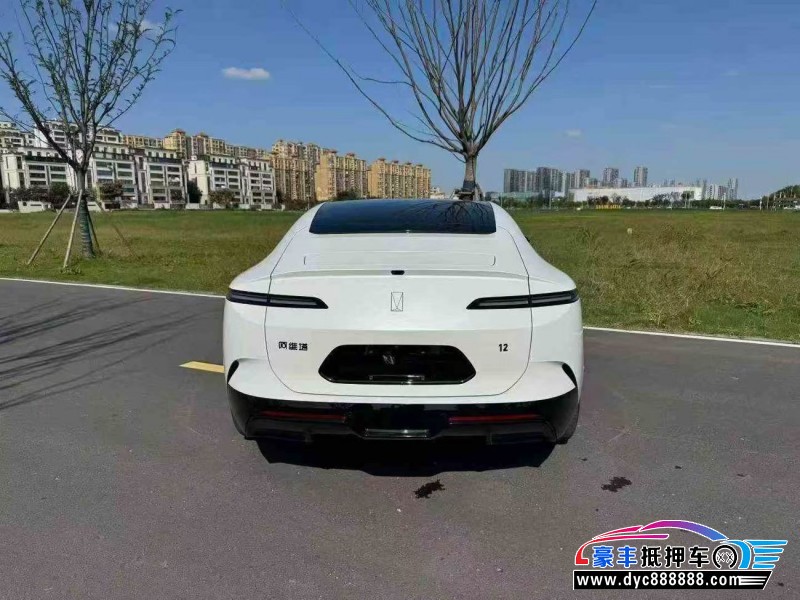 24年阿维塔12轿车抵押车出售