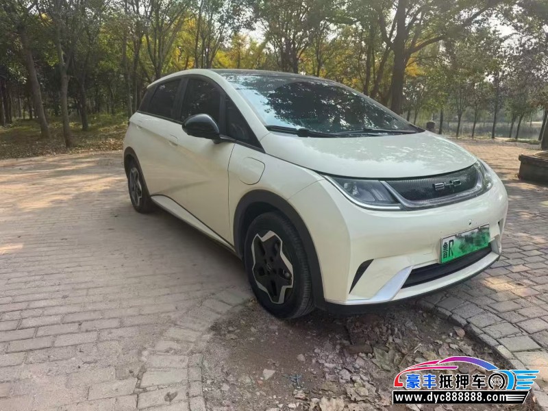 22年比亚迪海豚轿车抵押车出售