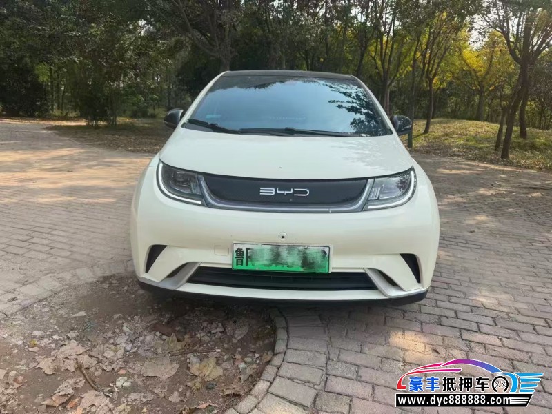 22年比亚迪海豚轿车抵押车出售