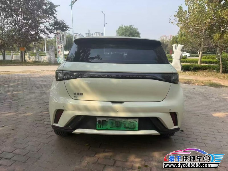 22年比亚迪海豚轿车抵押车出售