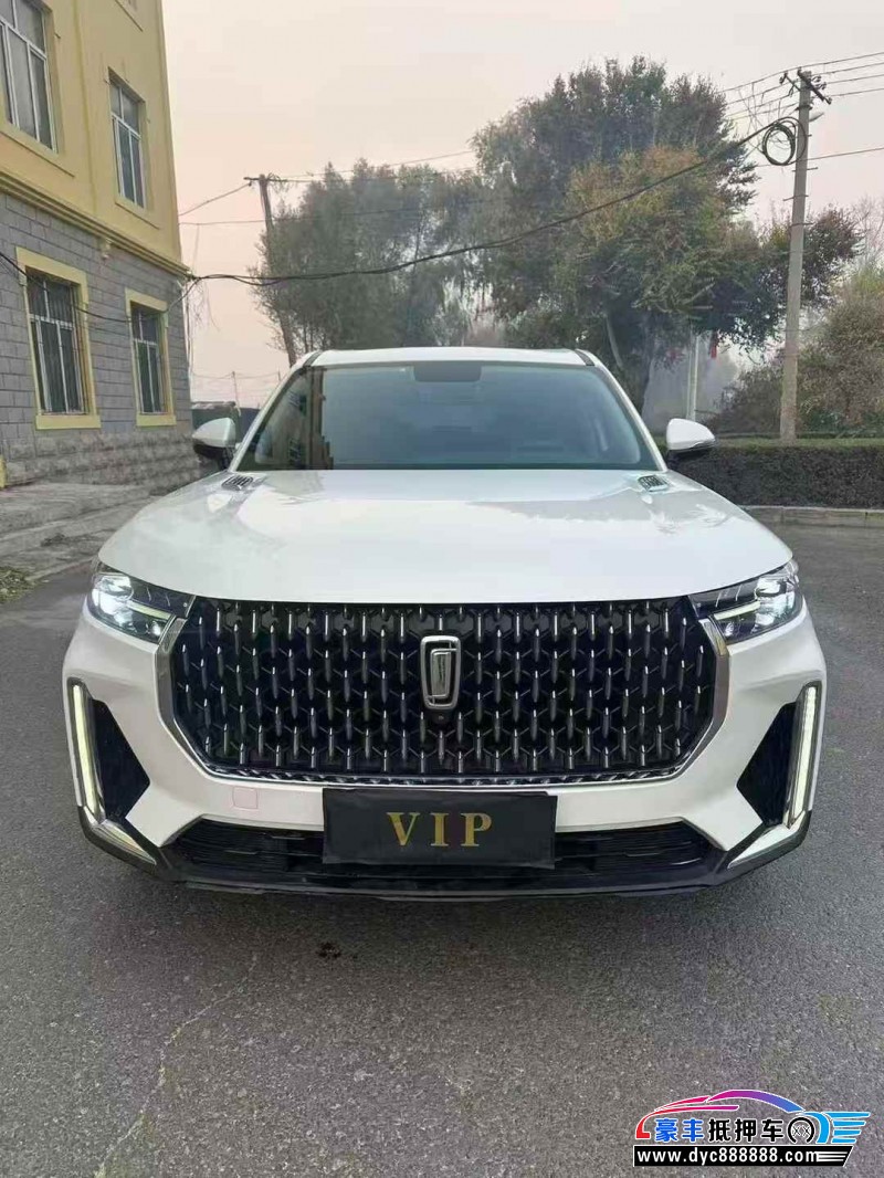 20年奔腾T99轿车抵押车出售