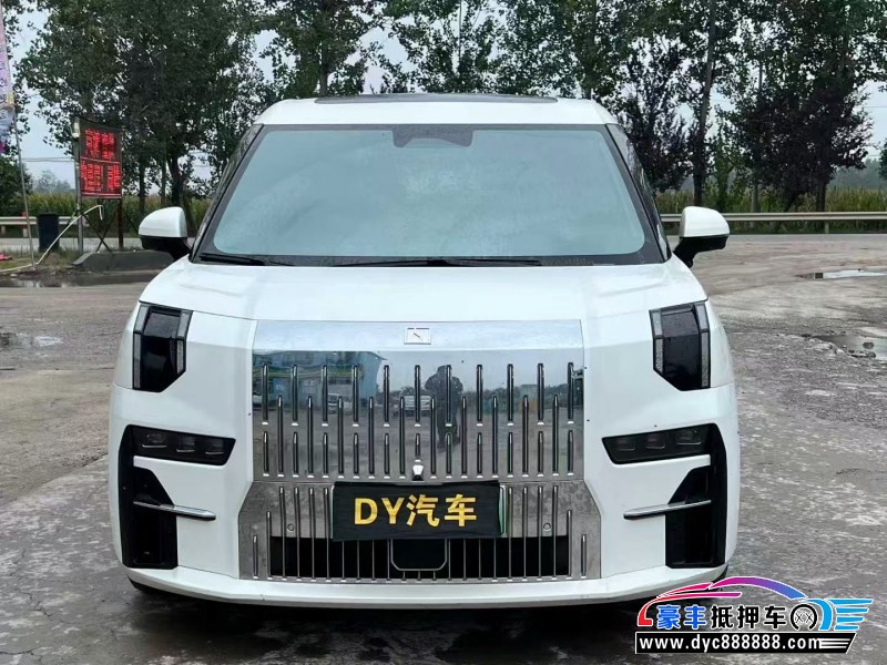 23年极氪009轿车抵押车出售