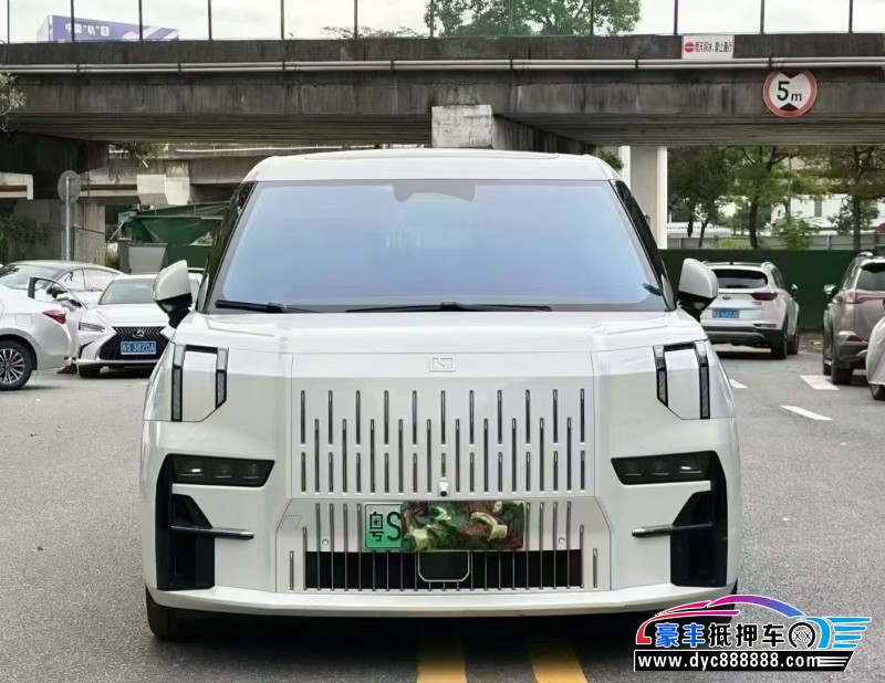 24年极氪009轿车