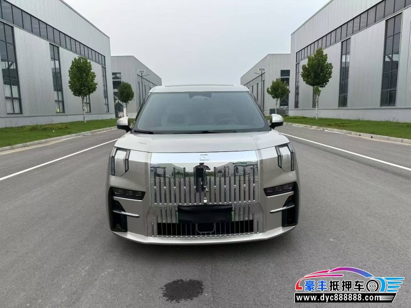 23年极氪009轿车