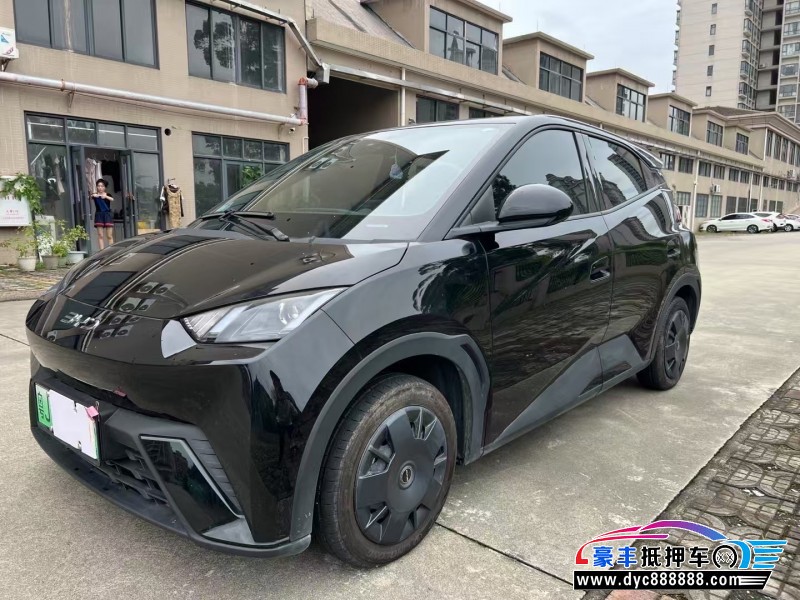 24年比亚迪海鸥轿车抵押车出售