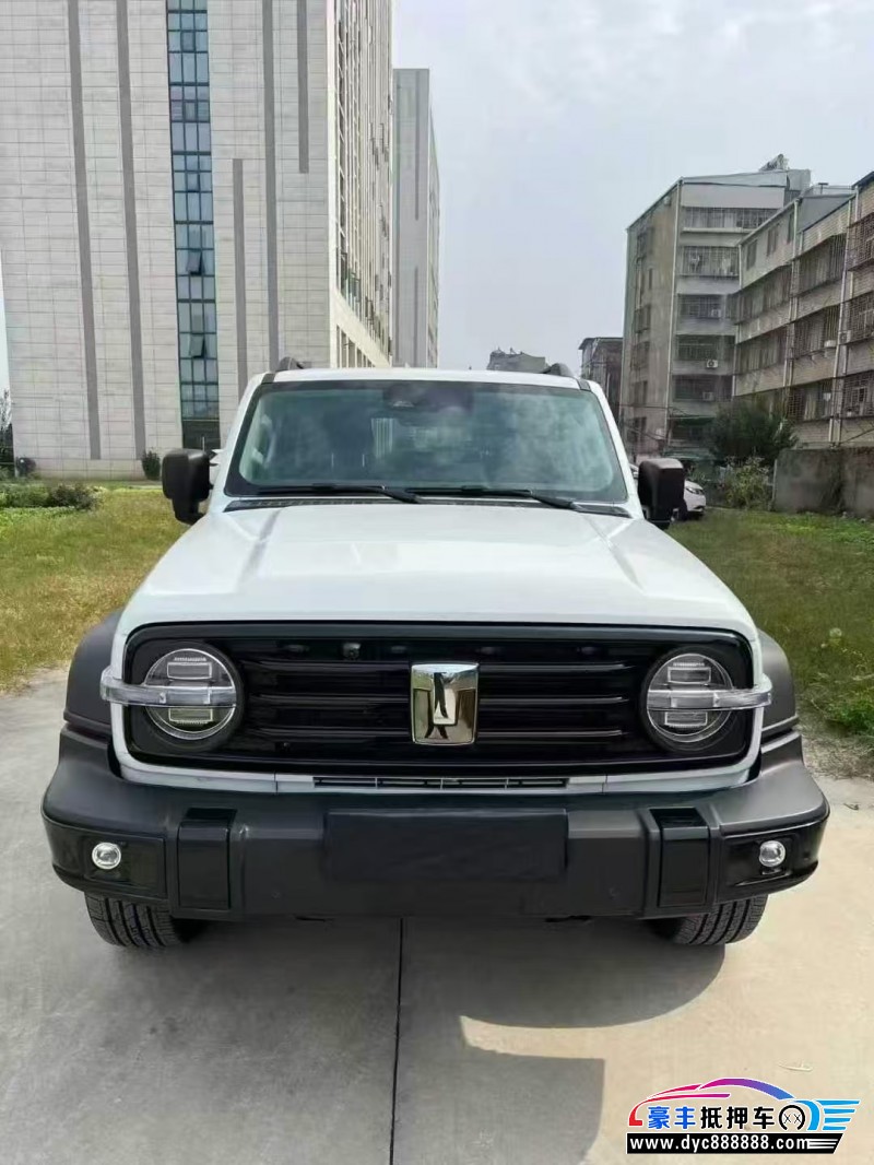 25年WEY坦克300轿车