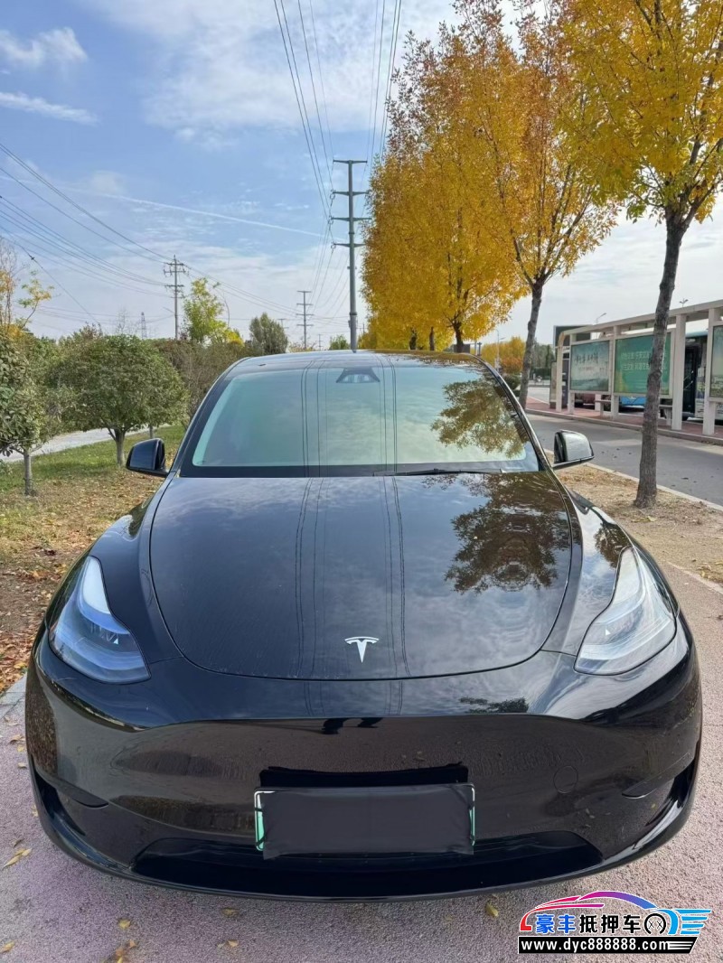24年特斯拉Model Y轿车抵押车出售