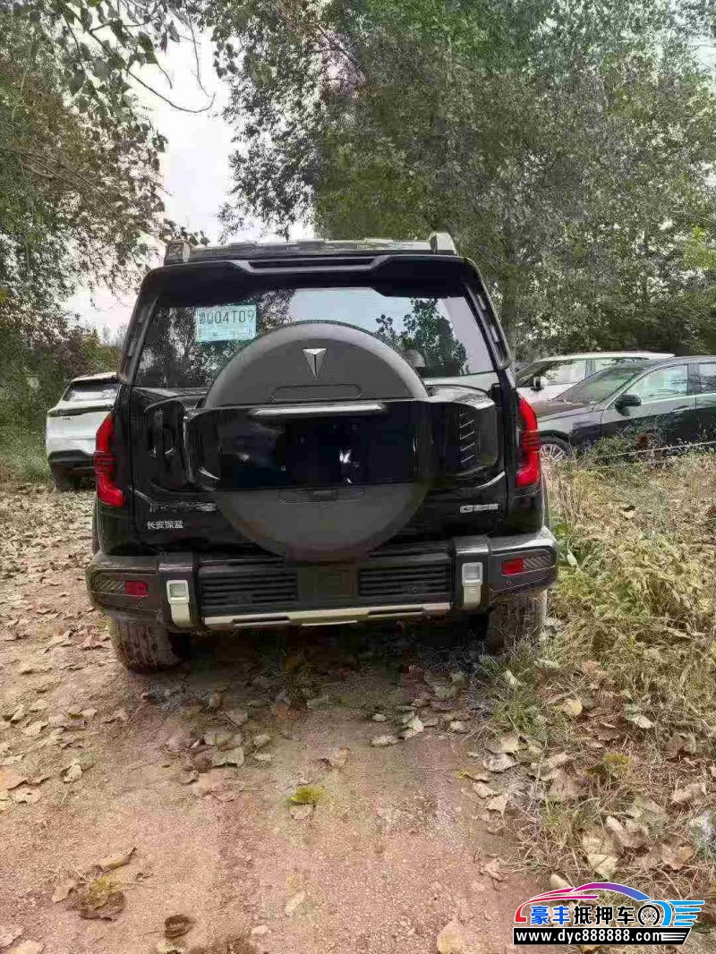 25年长安深蓝G318轿车抵押车出售