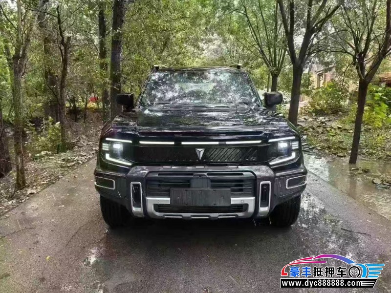 25年长安深蓝G318轿车抵押车出售