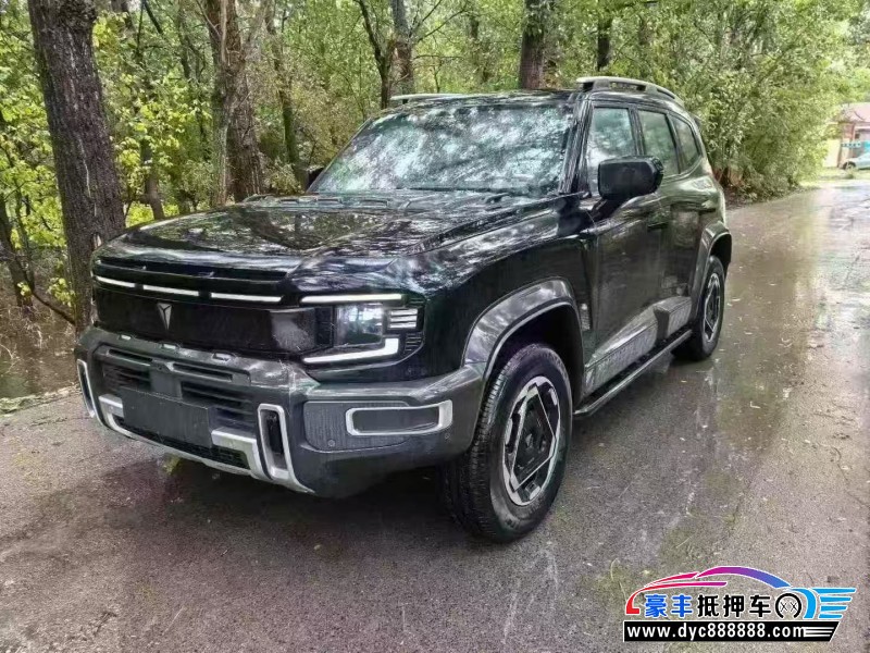 25年长安深蓝G318轿车抵押车出售