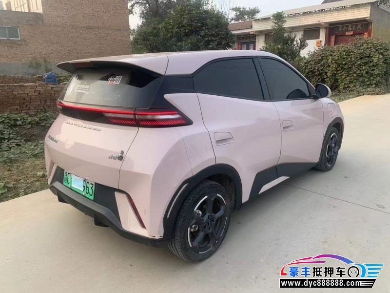 24年比亚迪海鸥轿车抵押车出售