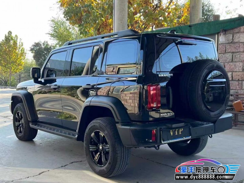 23年WEY坦克300轿车抵押车出售