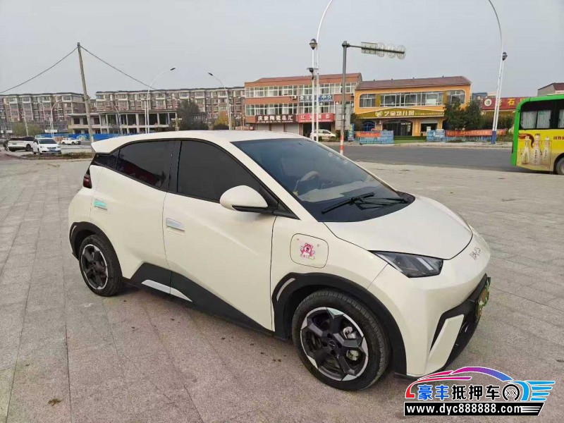 24年比亚迪海鸥SUV抵押车出售
