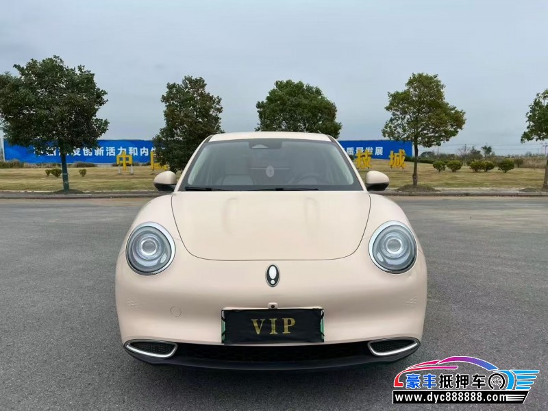 抵押车出售23年欧拉好猫轿车