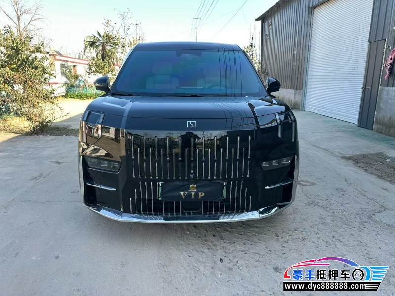 24年极氪009MPV抵押车出售