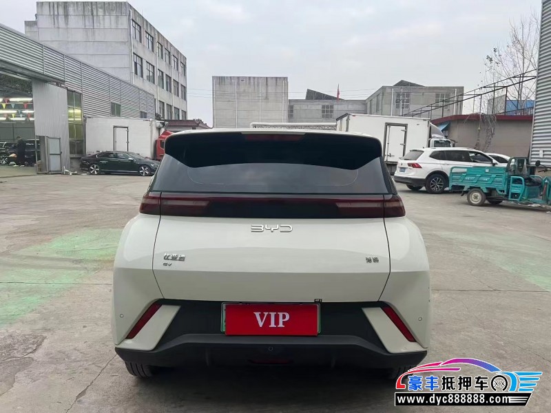 24年比亚迪海鸥轿车抵押车出售