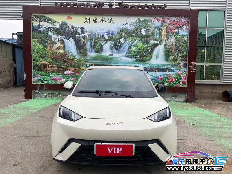 24年比亚迪海鸥轿车抵押车出售